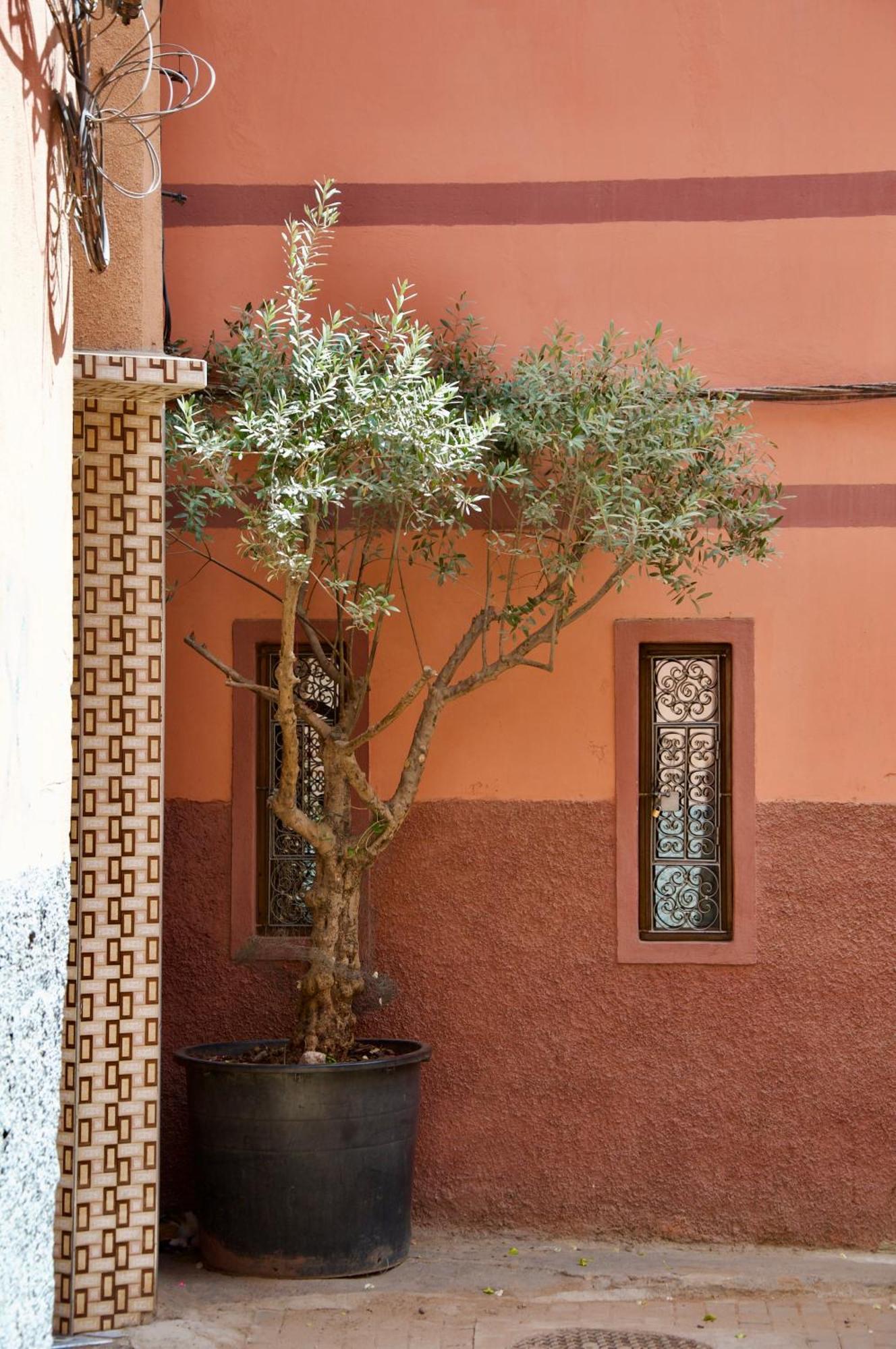 Hotel La Claire Fontaine Marrakesh Esterno foto